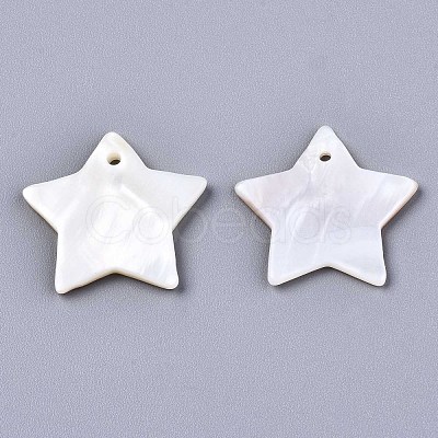 Natural Freshwater Shell Pendants X-SHEL-R113-10-1