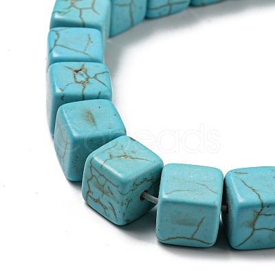 Dyed Synthetic Turquoise Beads Strands G-G075-B02-01-1