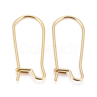 316 Surgical Stainless Steel Hoop Earring Findings STAS-A056-12G-E-1