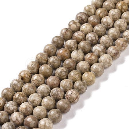 Natural Maifanite/Maifan Stone Beads Strands G-I187-10mm-01-1