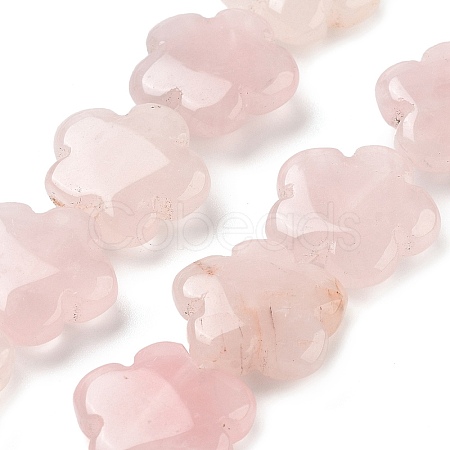 Natural Rose Quartz Beads Strands G-F769-X01-02-1