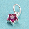 925 Sterling Silver Charms STER-G035-01C-01-2