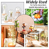 Transparent Glass Dome Jar Cloche Display Cases AJEW-WH0329-72A-6