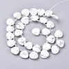 Synthetic Howlite Beads Strands G-G821-14A-2