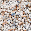 Baking Paint Glass Seed Beads SEED-F005-01A-07-3