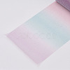 Polyester Deco Mesh Ribbons X-OCOR-WH0020-02B-3