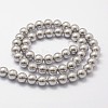 Shell Pearl Beads Strands X-BSHE-L026-05-8mm-3