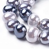 Shell Pearl Beads Strands BSHE-L035-E04-1