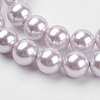 Shell Pearl Beads Strands X-BSHE-K011-8mm-MA722-3