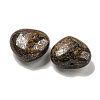 Natural Bronzite Beads G-P531-A23-01-2