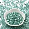 Glass Seed Beads SEED-M011-01A-13-2
