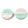 Resin & Wood Cabochons RESI-R425-05D-2