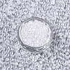 Transparent Glass Beads SEED-S040-08A-11-2