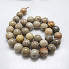 Natural Fossil Coral Round Bead Strands X-G-N0166-05-6mm-3