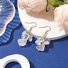 Natural Quartz Crystal & Opalite Dangle Earrings EJEW-JE05986-2