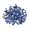 Natural Lapis Lazuli Beads G-F710-09-1