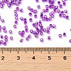 Glass Seed Beads SEED-S042-04B-20-4