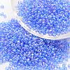6/0 Round Glass Seed Beads X-SEED-J011-F6-166-1
