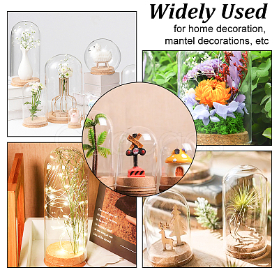 Transparent Glass Dome Jar Cloche Display Cases AJEW-WH0329-72A-1