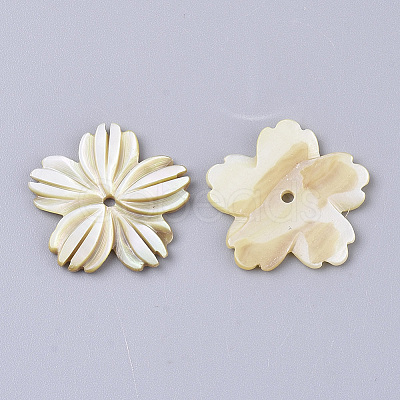 Yellow Shell Beads SSHEL-S251-37-1