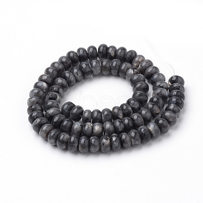 Natural Larvikite Beads Strands G-S272-13-1