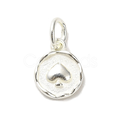 Sterling Silver Charms STER-E070-03B-1