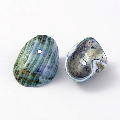 Natural Sea Shell Beads BSHE-S002-1-1