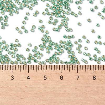 TOHO Round Seed Beads SEED-TR11-PF0570-1