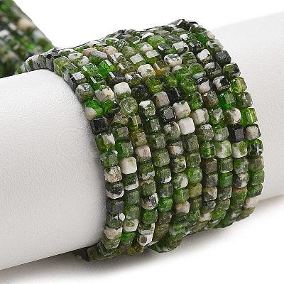 Natural Diopside Beads Strands G-G161-C23-01-1