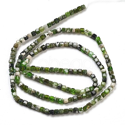 Natural Diopside Beads Strands G-G161-C23-01-1