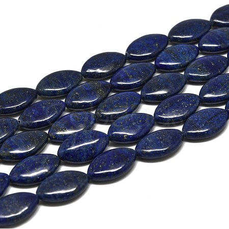 Natural Lapis Lazuli Beads Strands G-K311-08A-1