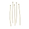 Brass Ball Head Pins, Lead Free & Cadmium Free, Real 24K Gold Plated, 35x0.6mm, Head: 1.5mm