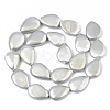 Shell Pearl Beads Strands X-SSHEL-R046-06B-2