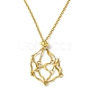 Crystal Cage Holder Necklace NJEW-JN04606-02-2