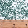 MIYUKI Delica Beads X-SEED-J020-DB0607-4