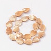Natural Sea Shell Beads SSHEL-E500-1-2