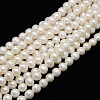 Grade AAA Natural Cultured Freshwater Pearl Beads Strands PEAR-L001-G-13-1