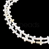 Natural Freshwater Shell Beads Strands BSHE-G036-05A-3