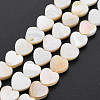 Natural Freshwater Shell Beads Strands SHEL-S276-70-2