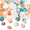 Nbeads 200G 4 Styles Dyed Natural Mixed Shell Beads Sets BSHE-NB0001-30-1