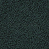 11/0 Grade A Baking Paint Glass Seed Beads X-SEED-N001-A-1041-2