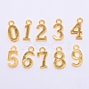 Tibetan Style Alloy Pendants TIBEP-TAC0001-14G-1