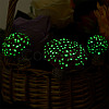 Resin Miniature Luminous Mushroom Ornaments AJEW-WH0326-72-6