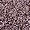 TOHO Round Seed Beads X-SEED-TR15-0412-2