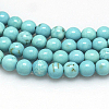 Natural Magnesite Beads Strands TURQ-G103-6mm-01-2