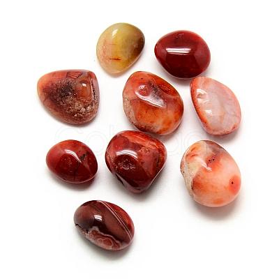 Natural Carnelian Stone Gemstone Beads G-S218-15-1