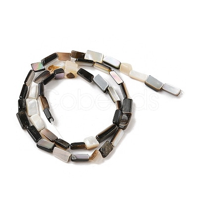 Natural Black Lip Shell Beads Strands SHEL-R100-01A-1