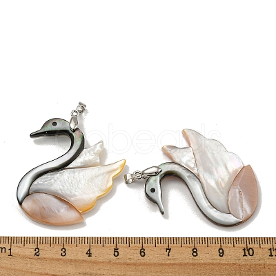 Natural Paua Shell & White Shell Pendants KK-U025-13P-1