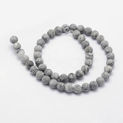 Natural Map Stone/Picasso Stone/Picasso Jasper Beads Strands G-F518-16-6mm-1