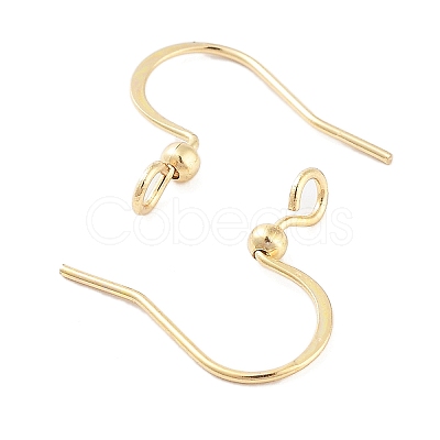 316 Surgical Stainless Steel Earring Hooks STAS-K274-10G-1